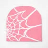 Spider web beanie