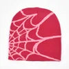 Spider web beanie