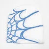 Spider web beanie