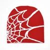 Spider web beanie