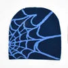 Spider web beanie