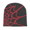 Spider web beanie